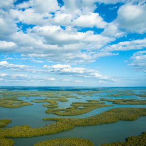 7. Florida Everglades - 2026 - HSC Student Lectures