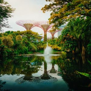 8. Singapore - 2026 - HSC Student Lectures